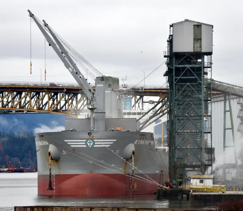 KYRA PANAGHIA Bulk Carrier IMO 9647277 photo 2