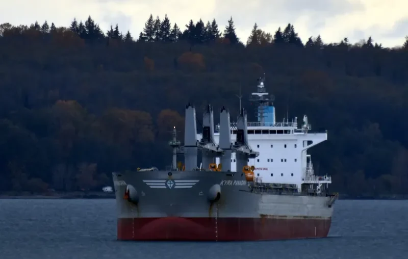 KYRA PANAGHIA Bulk Carrier IMO 9647277 photo 3