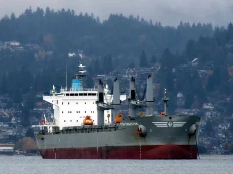 KYRA PANAGHIA Bulk Carrier IMO 9647277 photo 4