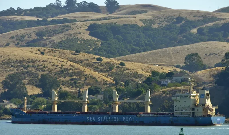 AMELIE Bulk Carrier IMO 9647289