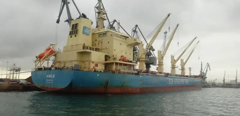 AMELIE Bulk Carrier IMO 9647289 photo 2