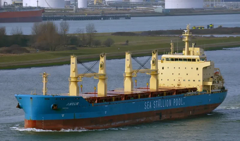 AMELIE Bulk Carrier IMO 9647289 photo 6