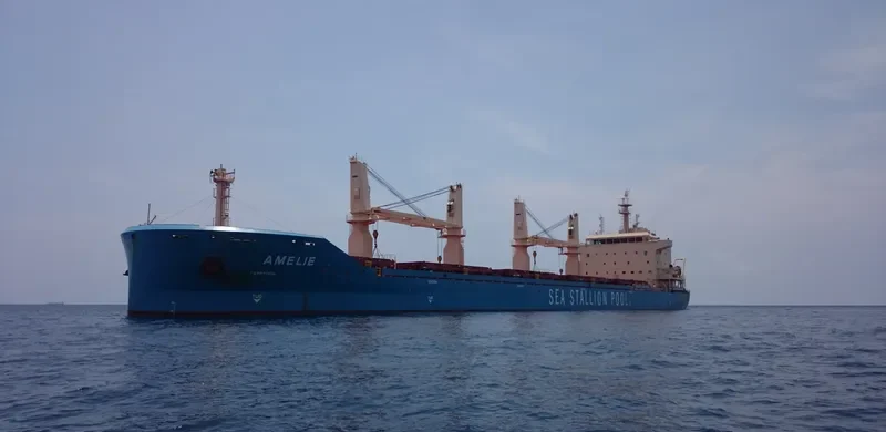 AMELIE Bulk Carrier IMO 9647289 photo 7