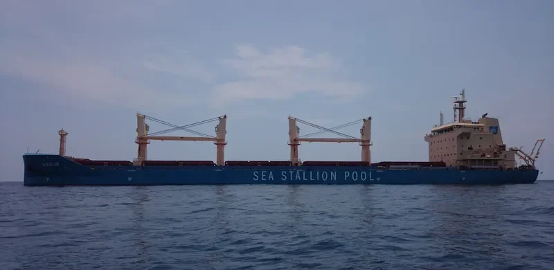 AMELIE Bulk Carrier IMO 9647289 photo 8