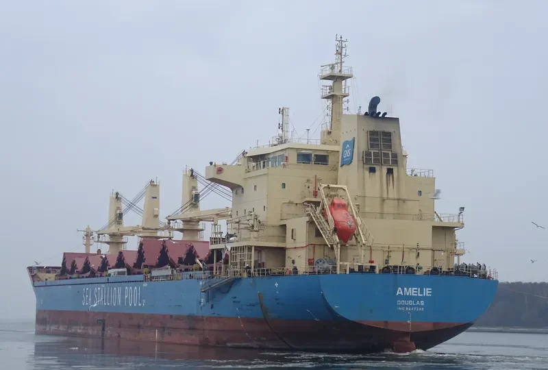 AMELIE Bulk Carrier IMO 9647289 photo 10
