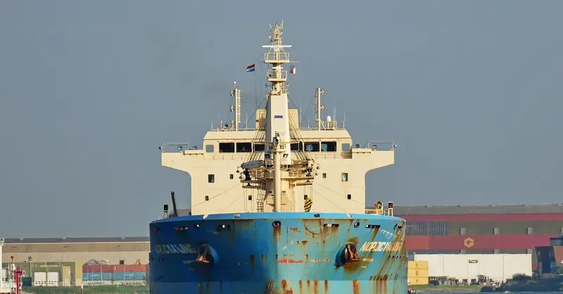 NORDIC NANJING Bulk Carrier IMO 9647291 photo 6