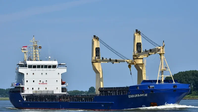 ENDURANCE General Cargo IMO 9647318