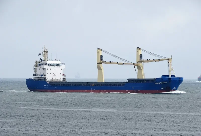 ENDURANCE General Cargo IMO 9647318 photo 4