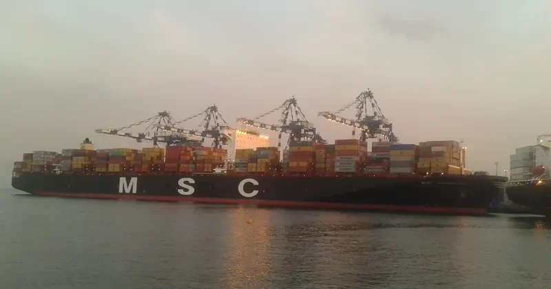 MSC HAMBURG Container Ship IMO 9647461 photo 7