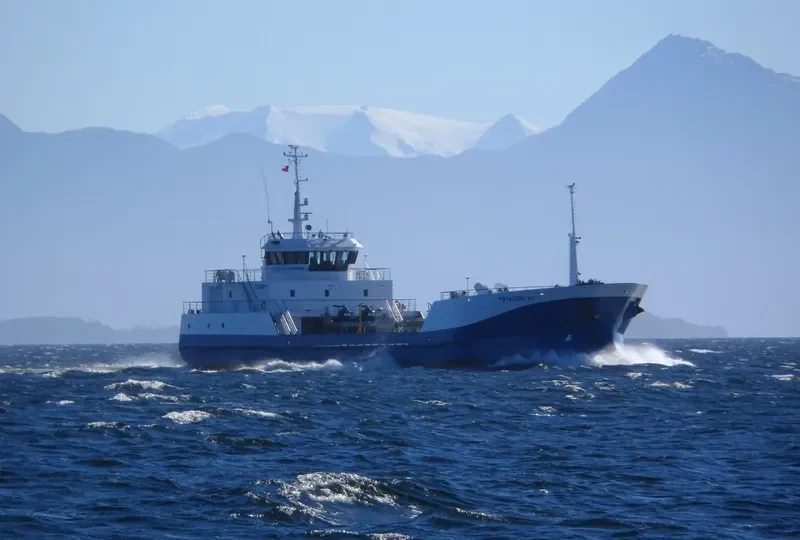 PATAGON VII General Cargo IMO 9647502 photo 3