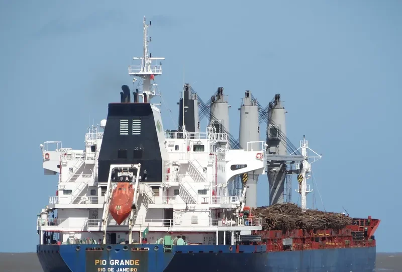 PIO GRANDE Bulk Carrier IMO 9647863