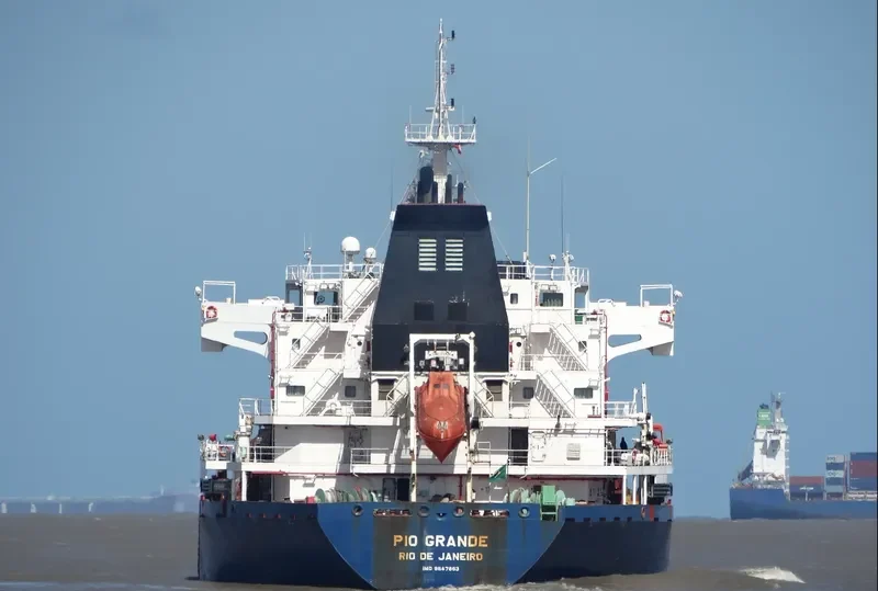 PIO GRANDE Bulk Carrier IMO 9647863 photo 2