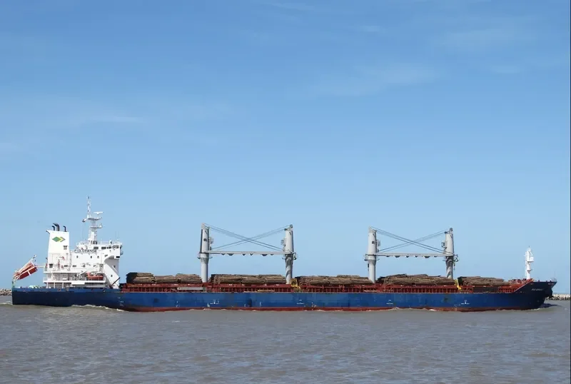 PIO GRANDE Bulk Carrier IMO 9647863 photo 3