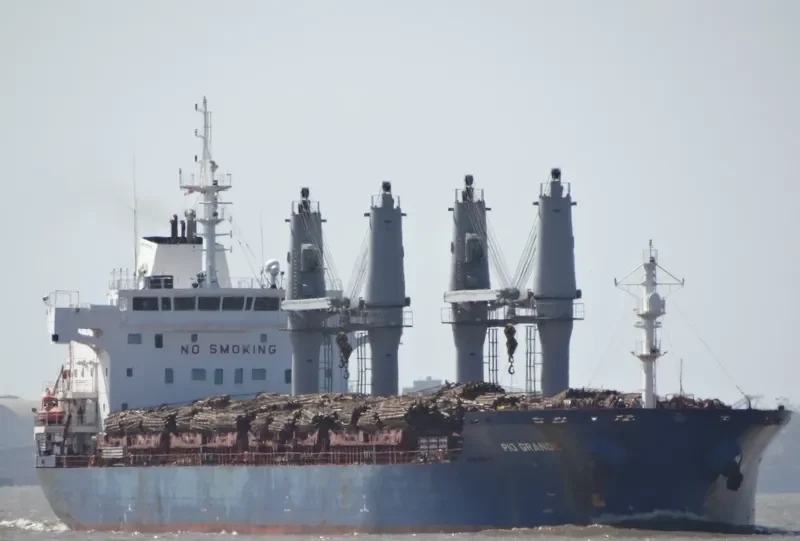 PIO GRANDE Bulk Carrier IMO 9647863 photo 4