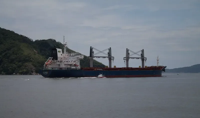 PIO GRANDE Bulk Carrier IMO 9647863 photo 5