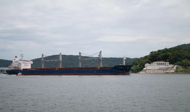 PIO GRANDE Bulk Carrier IMO 9647863 photo 6