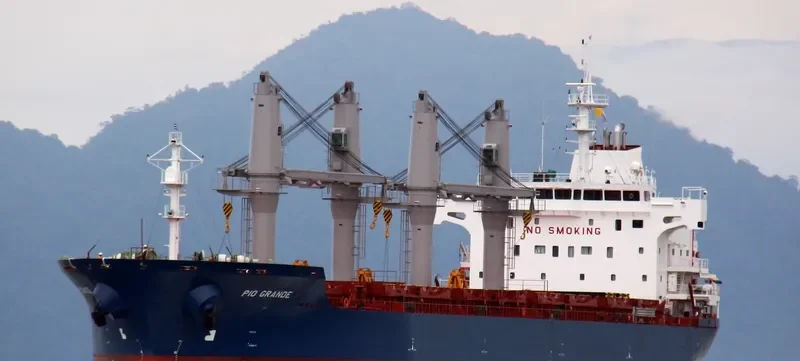 PIO GRANDE Bulk Carrier IMO 9647863 photo 7