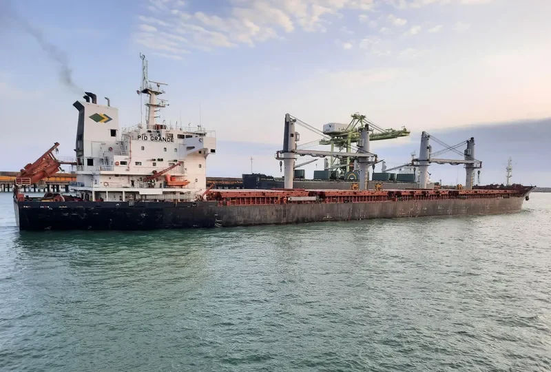 PIO GRANDE Bulk Carrier IMO 9647863 photo 8