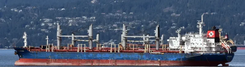 SIDER MYKONOS Bulk Carrier IMO 9647875 photo 9