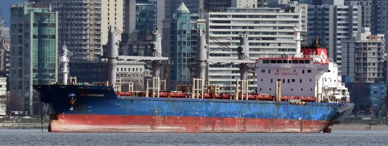 SIDER MYKONOS Bulk Carrier IMO 9647875 photo 10