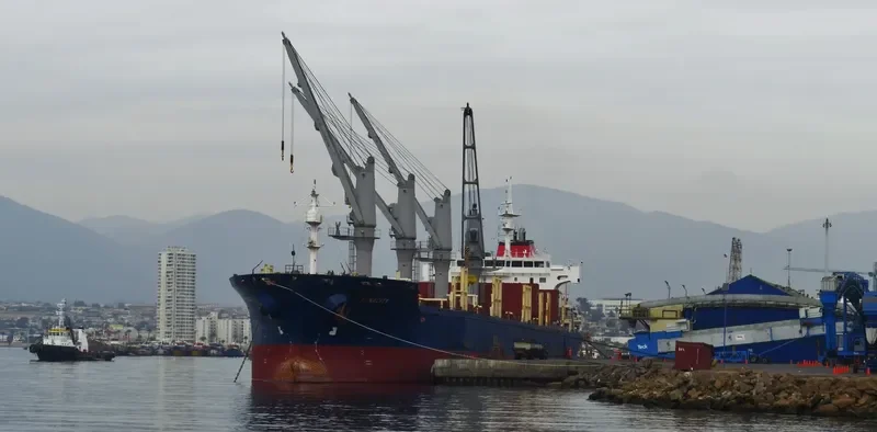 MADRID Bulk Carrier IMO 9647887 photo 2