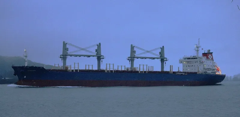 MADRID Bulk Carrier IMO 9647887 photo 6