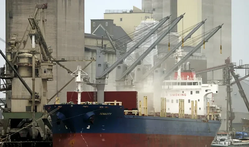 MADRID Bulk Carrier IMO 9647887 photo 7