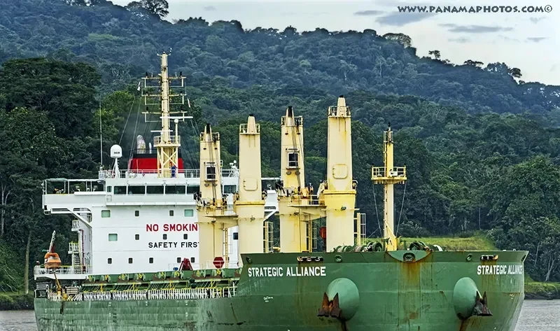 STRATEGIC ALLIANCE Bulk Carrier IMO 9648075 photo 3