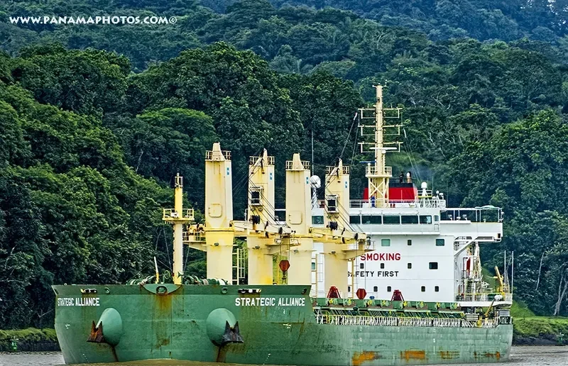 STRATEGIC ALLIANCE Bulk Carrier IMO 9648075 photo 4