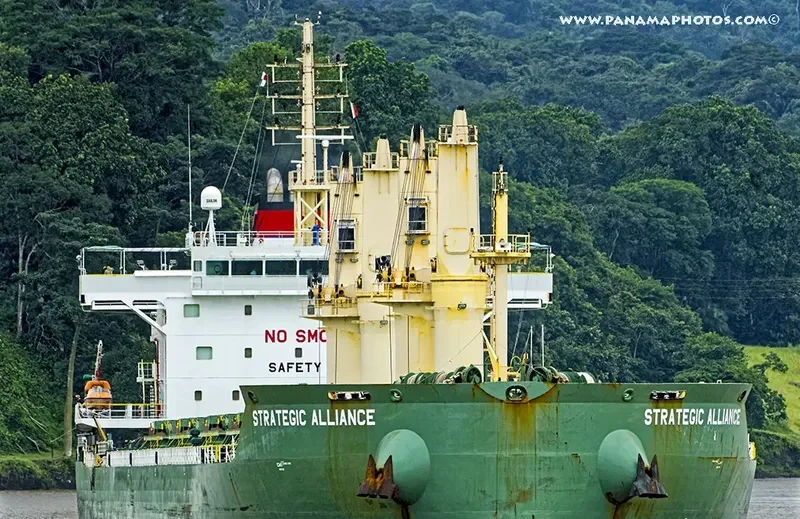 STRATEGIC ALLIANCE Bulk Carrier IMO 9648075 photo 5