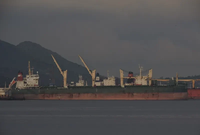 STRATEGIC ALLIANCE Bulk Carrier IMO 9648075 photo 6