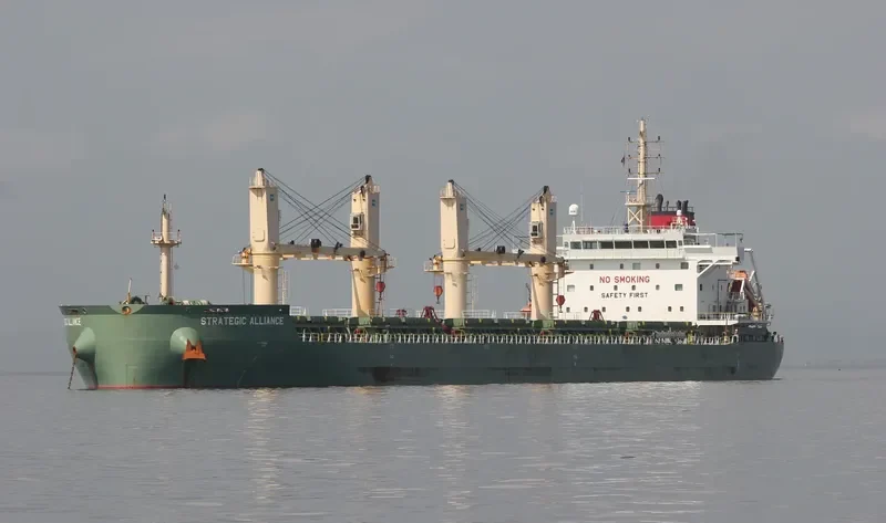 STRATEGIC ALLIANCE Bulk Carrier IMO 9648075 photo 7