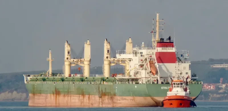 STRATEGIC ALLIANCE Bulk Carrier IMO 9648075 photo 8