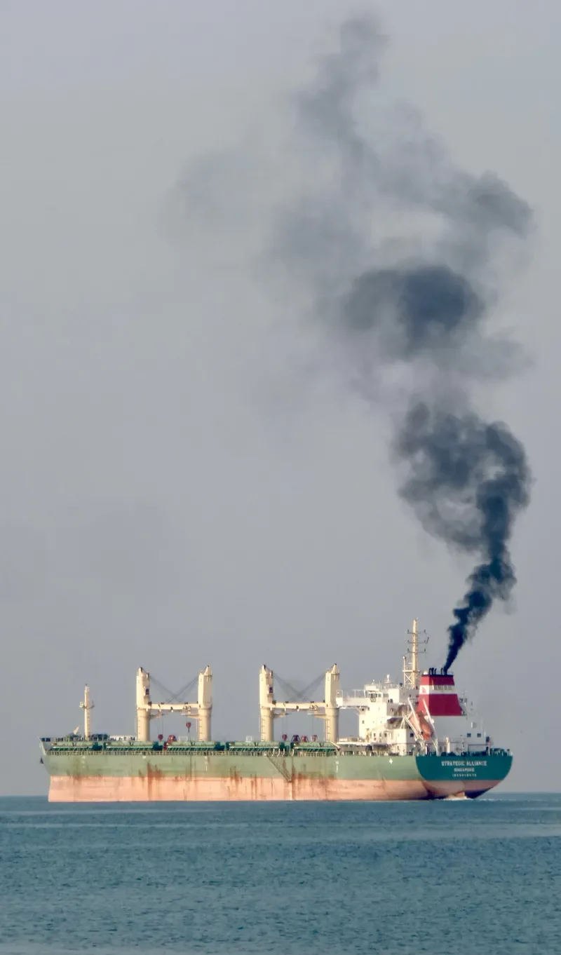 STRATEGIC ALLIANCE Bulk Carrier IMO 9648075 photo 9