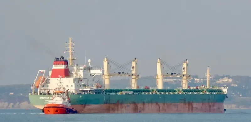 STRATEGIC ALLIANCE Bulk Carrier IMO 9648075 photo 10
