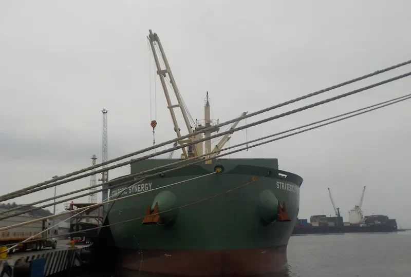STRATEGIC SYNERGY Bulk Carrier IMO 9648087 photo 2