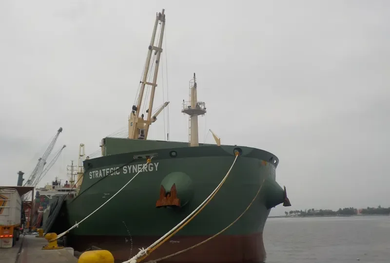 STRATEGIC SYNERGY Bulk Carrier IMO 9648087 photo 3