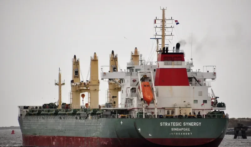 STRATEGIC SYNERGY Bulk Carrier IMO 9648087 photo 4