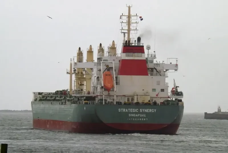 STRATEGIC SYNERGY Bulk Carrier IMO 9648087 photo 5