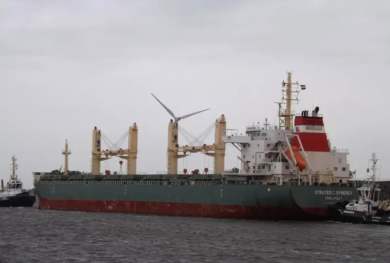 STRATEGIC SYNERGY Bulk Carrier IMO 9648087 photo 6