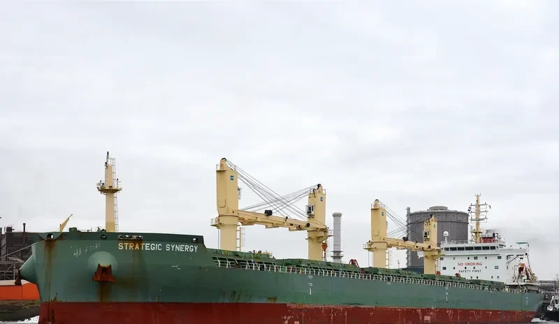 STRATEGIC SYNERGY Bulk Carrier IMO 9648087 photo 8