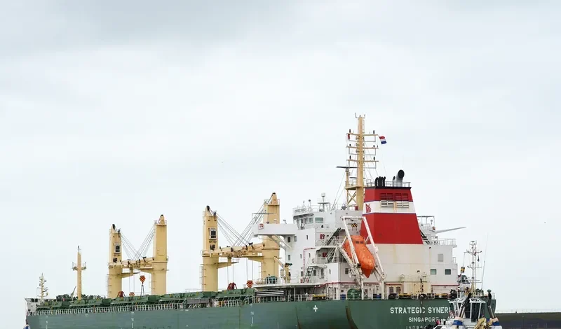 STRATEGIC SYNERGY Bulk Carrier IMO 9648087 photo 9