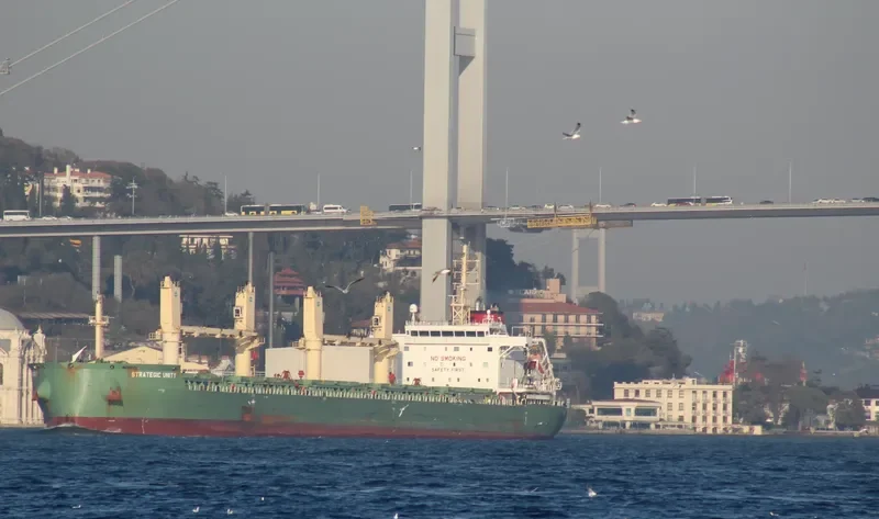 STRATEGIC UNITY Bulk Carrier IMO 9648099