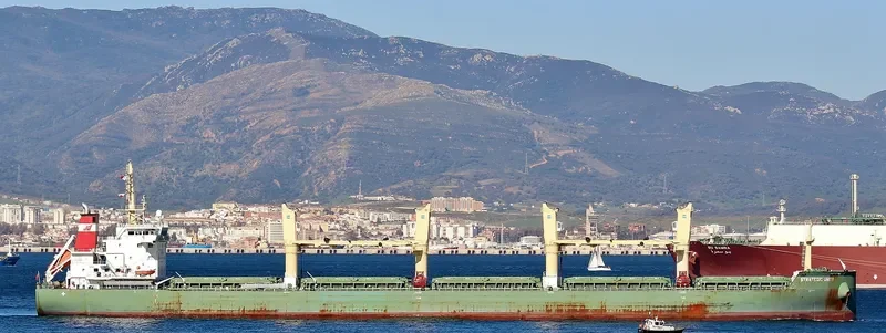 STRATEGIC UNITY Bulk Carrier IMO 9648099 photo 7