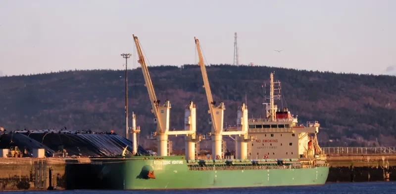 STRATEGIC VENTURE Bulk Carrier IMO 9648104
