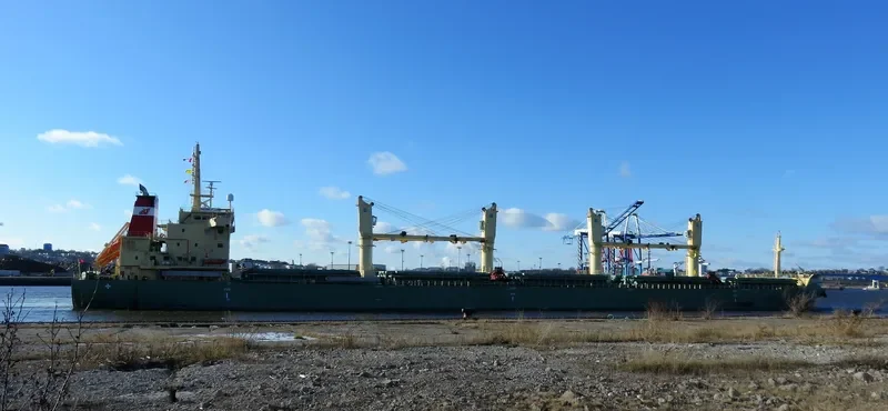 STRATEGIC VENTURE Bulk Carrier IMO 9648104 photo 2