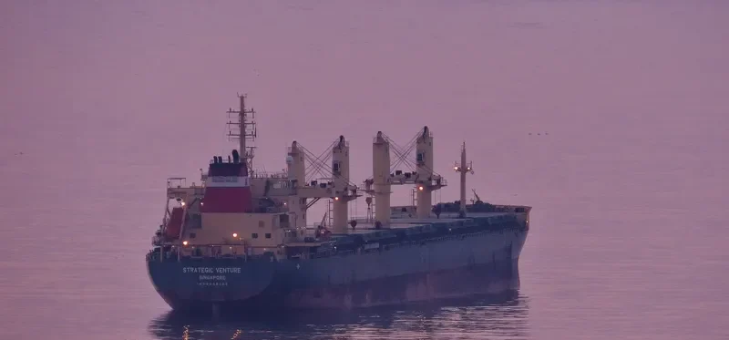 STRATEGIC VENTURE Bulk Carrier IMO 9648104 photo 10