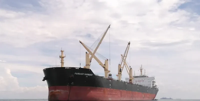FAREAST HARMONY Bulk Carrier IMO 9648582