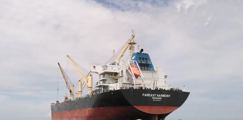 FAREAST HARMONY Bulk Carrier IMO 9648582 photo 2