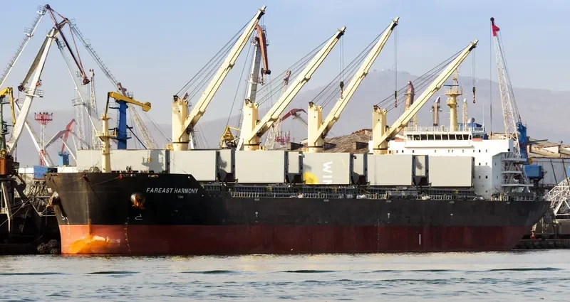 FAREAST HARMONY Bulk Carrier IMO 9648582 photo 3